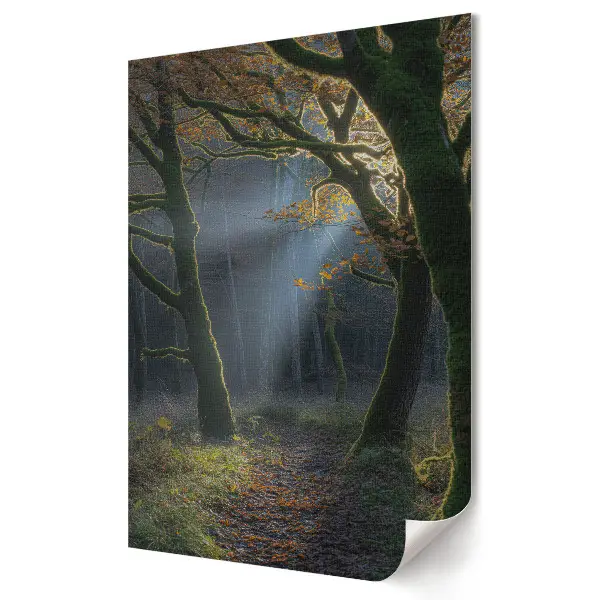 Plakat na materiale polycanvas Złote Promienie w Leśnej Głębi