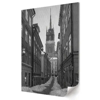 Plakat na materiale polycanvas Zimowy krajobraz w monochromatycznej ulicy