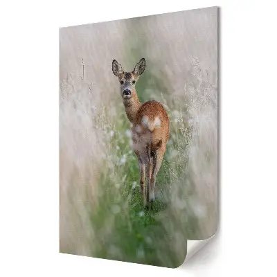 Plakat na materiale polycanvas Spacerująca sarenka w letnim słońcu