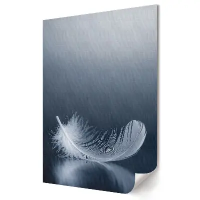 Plakat na materiale polycanvas Delikatność pióra na spokojnym tle