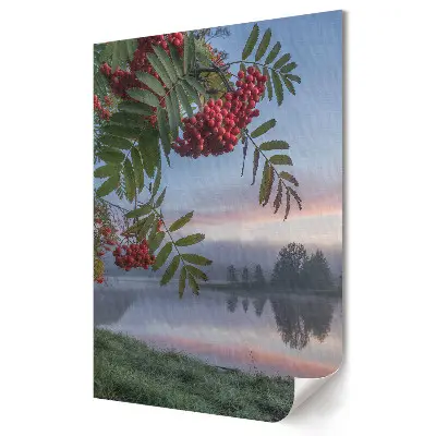 Stylowy plakat na ścianę Spokojny poranek nad jeziorem