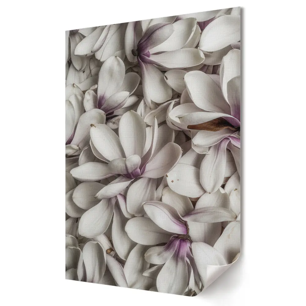 Grafika ścienna na płótnie Elegancja białych kwiatów magnolii