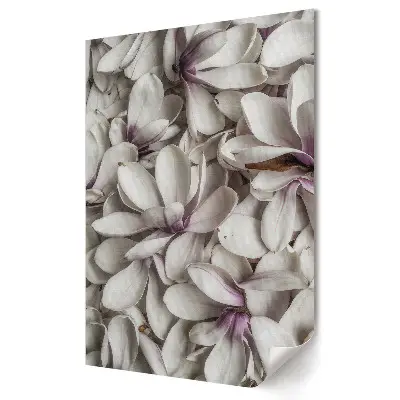 Grafika ścienna na płótnie Elegancja białych kwiatów magnolii