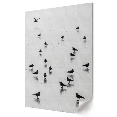 Plakat na materiale polycanvas Cisza nadmorskiego poranka z ptakami