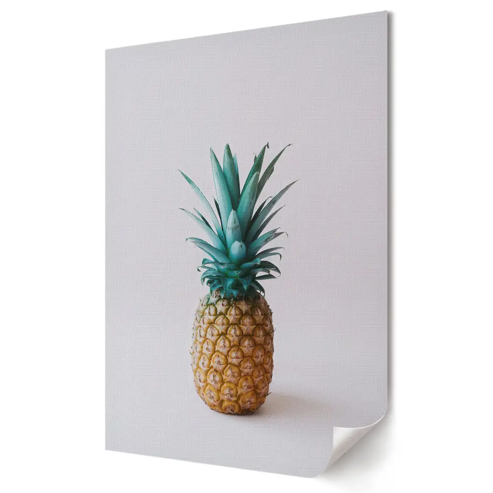 Grafika ścienna na płótnie Kolorowy ananas na minimalistycznym tle