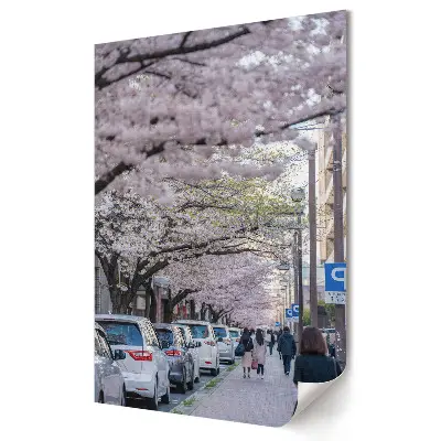 Stylowy plakat na ścianę Spacer pod kwitnącymi drzewami wiśni