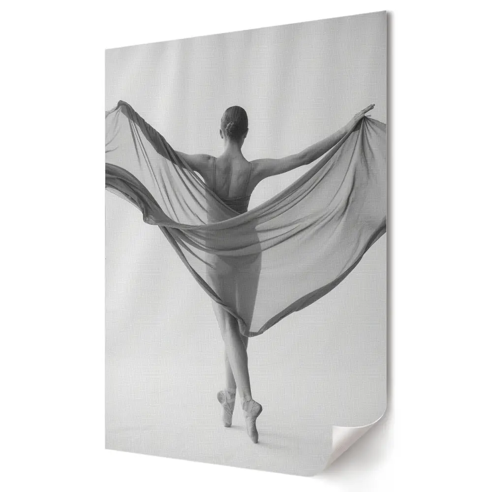 Plakat na materiale polycanvas Elegancja w tańcu Cień i światło