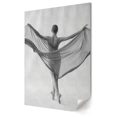 Plakat na materiale polycanvas Elegancja w tańcu Cień i światło