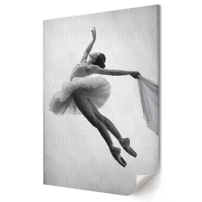 Stylowy plakat na ścianę Elegancja w ruchu Taniec baletowy
