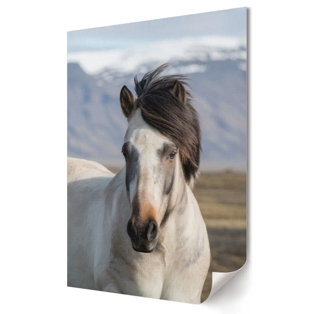 Stylowy plakat na ścianę Elegancja konia w naturalnym krajobrazie