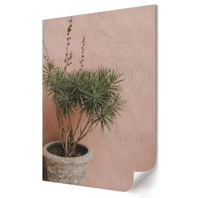Plakat na materiale polycanvas Zielona roślina na różowym tle