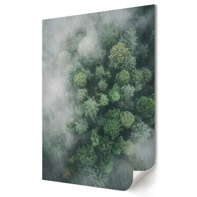 Plakat na materiale polycanvas Zielona Oaza w Mglistym Lesie