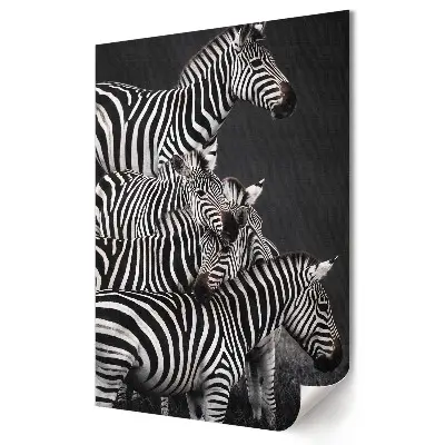 Nowoczesny plakat dekoracyjny zebra w czarno-białej harmonii