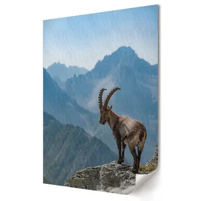 Plakat na materiale polycanvas Górski koziorożec na szczycie