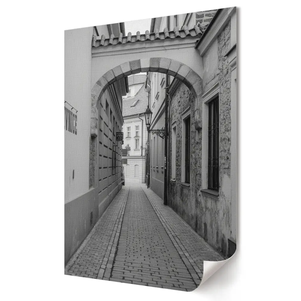 Grafika ścienna na płótnie Urokliwy zaułek w monochromatycznej scenerii