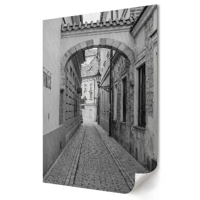Grafika ścienna na płótnie Urokliwy zaułek w monochromatycznej scenerii
