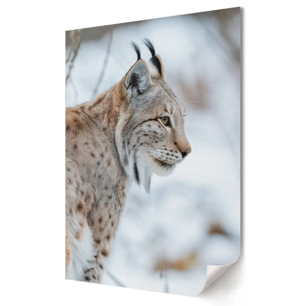 Obraz na płótnie Lynx in Winter's Embrace