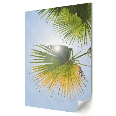 Plakat na materiale polycanvas Promienie słońca przez liście palm