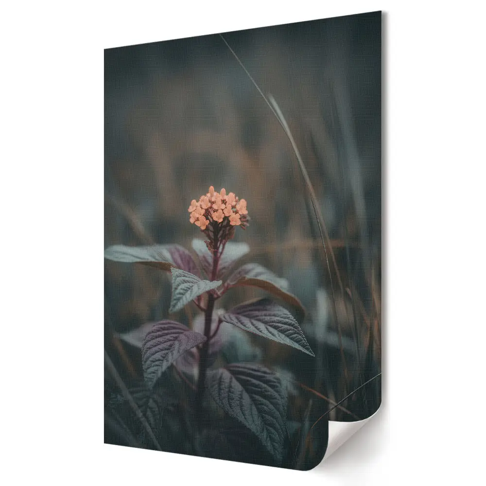 Plakat na materiale polycanvas Delikatna kwiatowa elegancja w cieniu