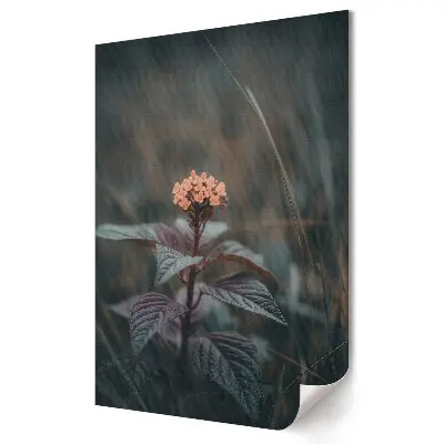 Plakat na materiale polycanvas Delikatna kwiatowa elegancja w cieniu