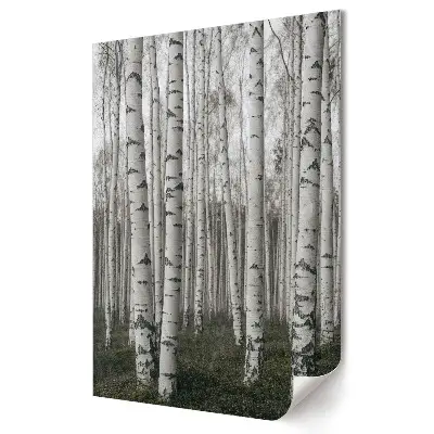 Plakat na materiale polycanvas Zimowy las brzozowy w mgle