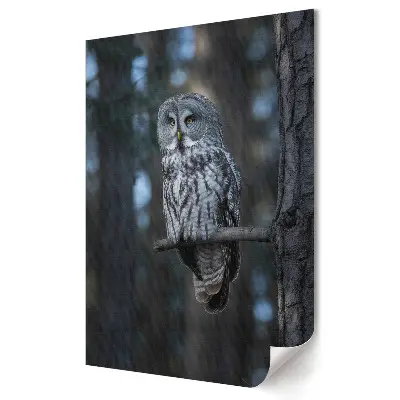Plakat na materiale polycanvas Sowa na gałęzi w lesie