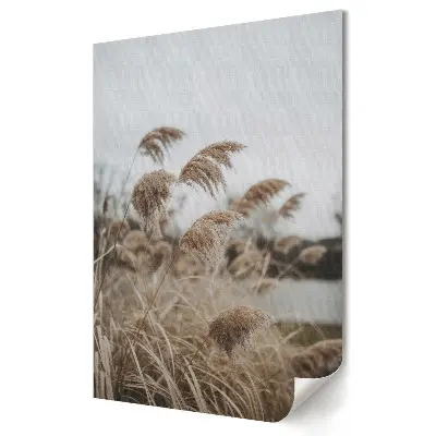 Plakat na materiale polycanvas Delikatne trawy w szaro-beżowej tonacji
