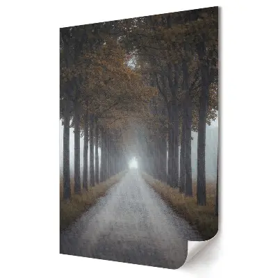 Plakat na materiale polycanvas Misty Path Through Autumn Trees