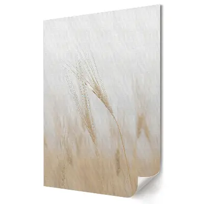 Plakat na materiale polycanvas Delikatne zboża w mglistym krajobrazie