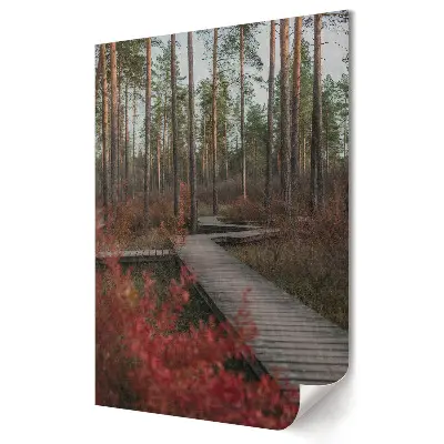 Nowoczesny plakat dekoracyjny Magiczna ścieżka w leśnym krajobrazie