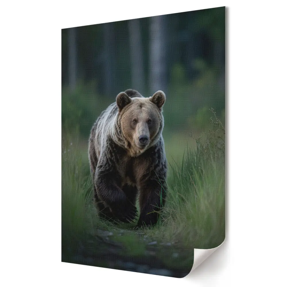 Plakat na materiale polycanvas Grizzly w naturalnym środowisku