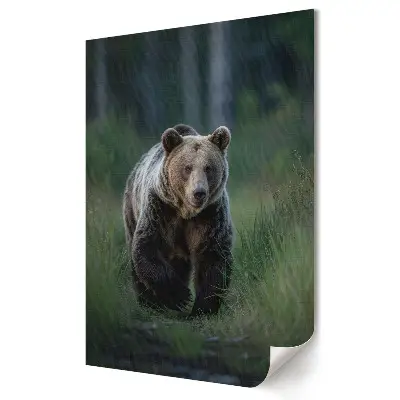 Plakat na materiale polycanvas Grizzly w naturalnym środowisku