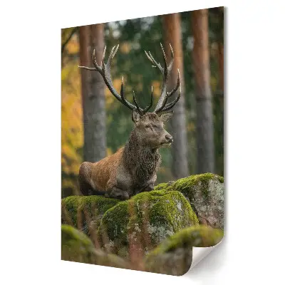 Plakat na materiale polycanvas Wielki jeleń w leśnym otoczeniu