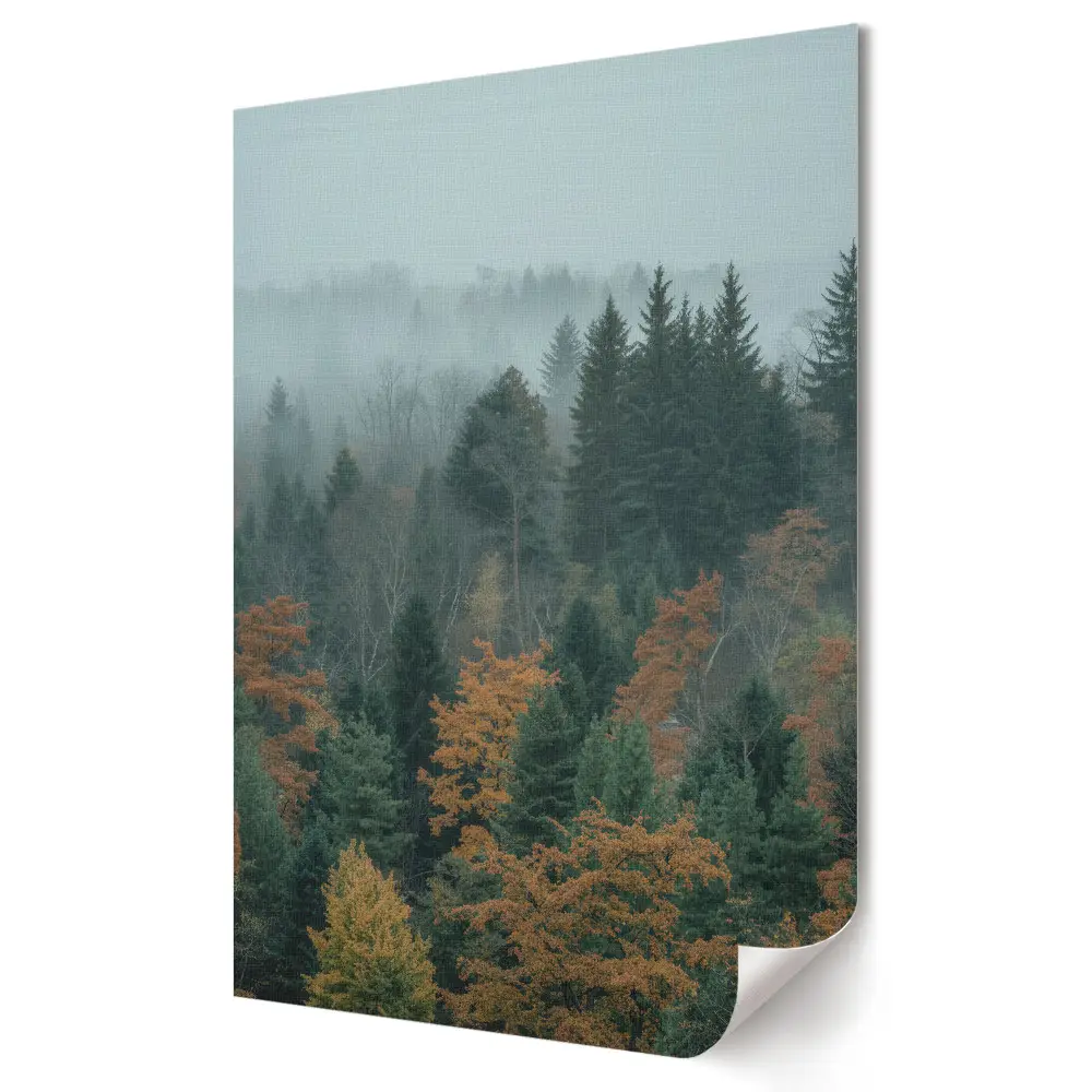 Plakat na materiale polycanvas Mglista jesień w lesie sosnowym