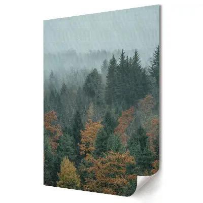 Plakat na materiale polycanvas Mglista jesień w lesie sosnowym