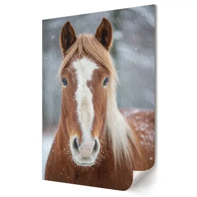 Stylowy plakat na ścianę Zimowy portret pięknego konia