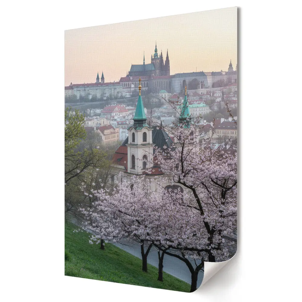 Grafika ścienna na płótnie Wiosenne kwitnienie nad Pragą