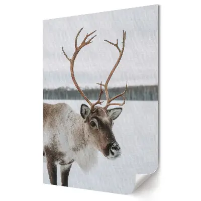Plakat na materiale polycanvas Renifer w zimowym krajobrazie