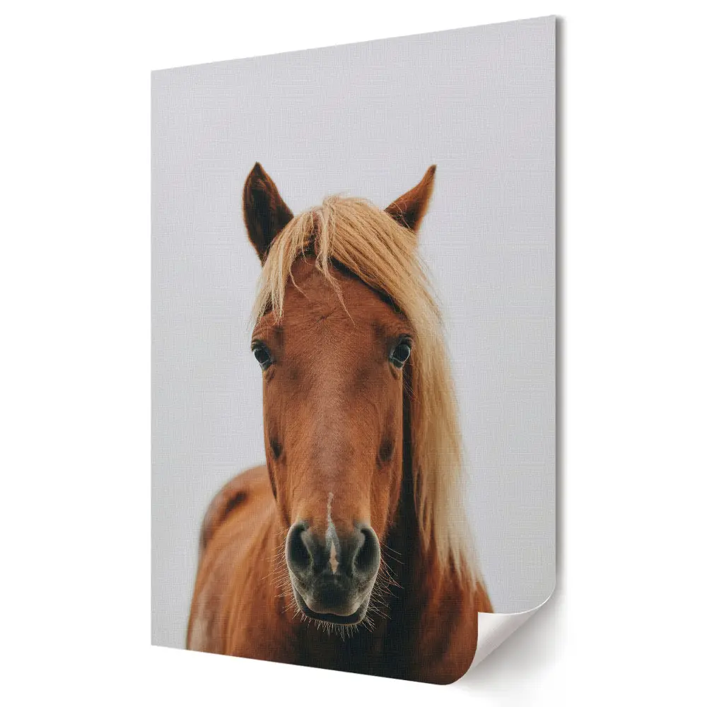 Stylowy plakat na ścianę z portretem pięknego brązowego konia