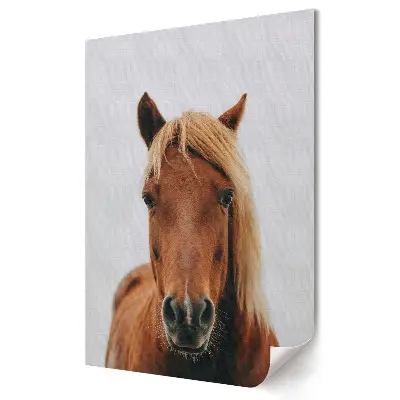Stylowy plakat na ścianę z portretem pięknego brązowego konia