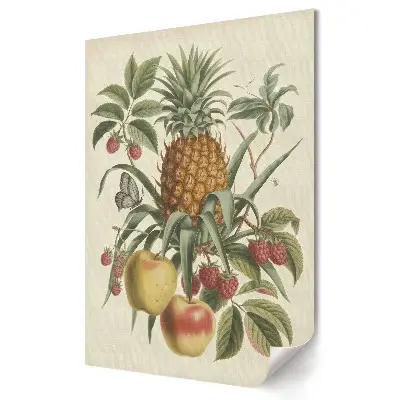 Stylowy plakat na ścianę Tropikalne owoce i jagody w kompozycji