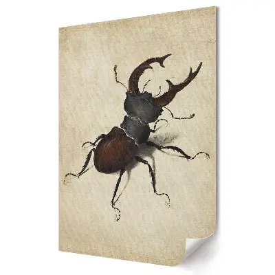 Plakat na materiale polycanvas Starożytna ilustracja żuka rogatka