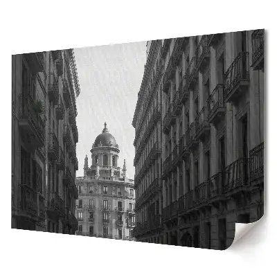 Artystyczny wydruk na płótnie Urok architektury w monochromatycznej scenerii