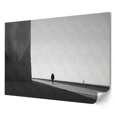 Artystyczny wydruk na płótnie Samotny spacer w monochromatycznym świecie