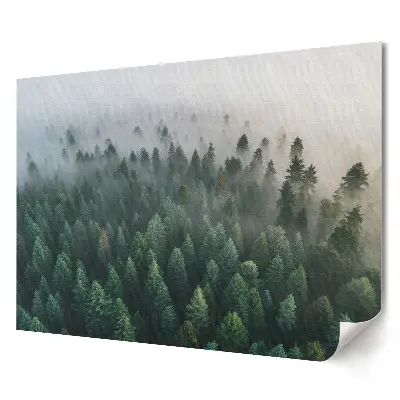 Elegancki plakat do salonu Mglista panorama leśna o poranku