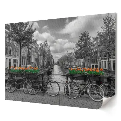 Artystyczny wydruk na płótnie Rowery i tulipany w Amsterdamie