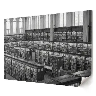 Artystyczny wydruk na płótnie przedstawiający bibliotekę pełną książek w odcieniach monochromatycznych
