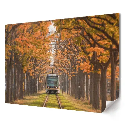 Plakat ścienny premium Tramwaj w jesiennej alei drzew