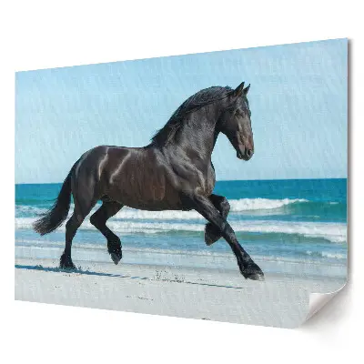 Elegancki plakat do salonu Czarny koń biegnący po plaży