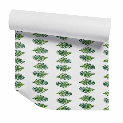 Tapeta Liście paproci